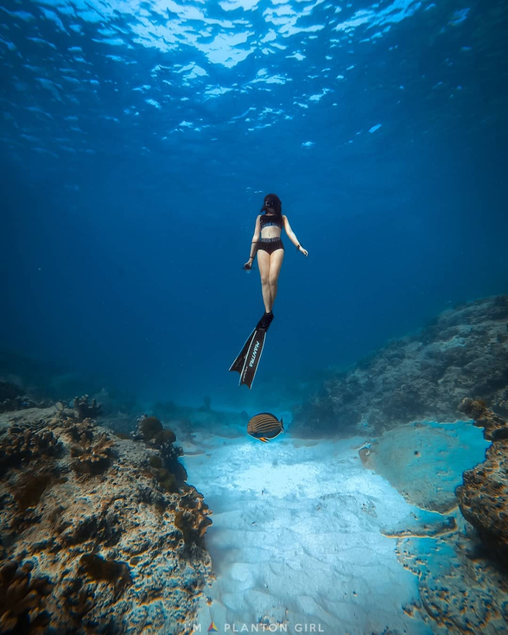 Freediveing in Similan island Thailand | Thailand, Island